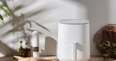 Freidoras de aire de diseño vs. modelos más funcionales.
